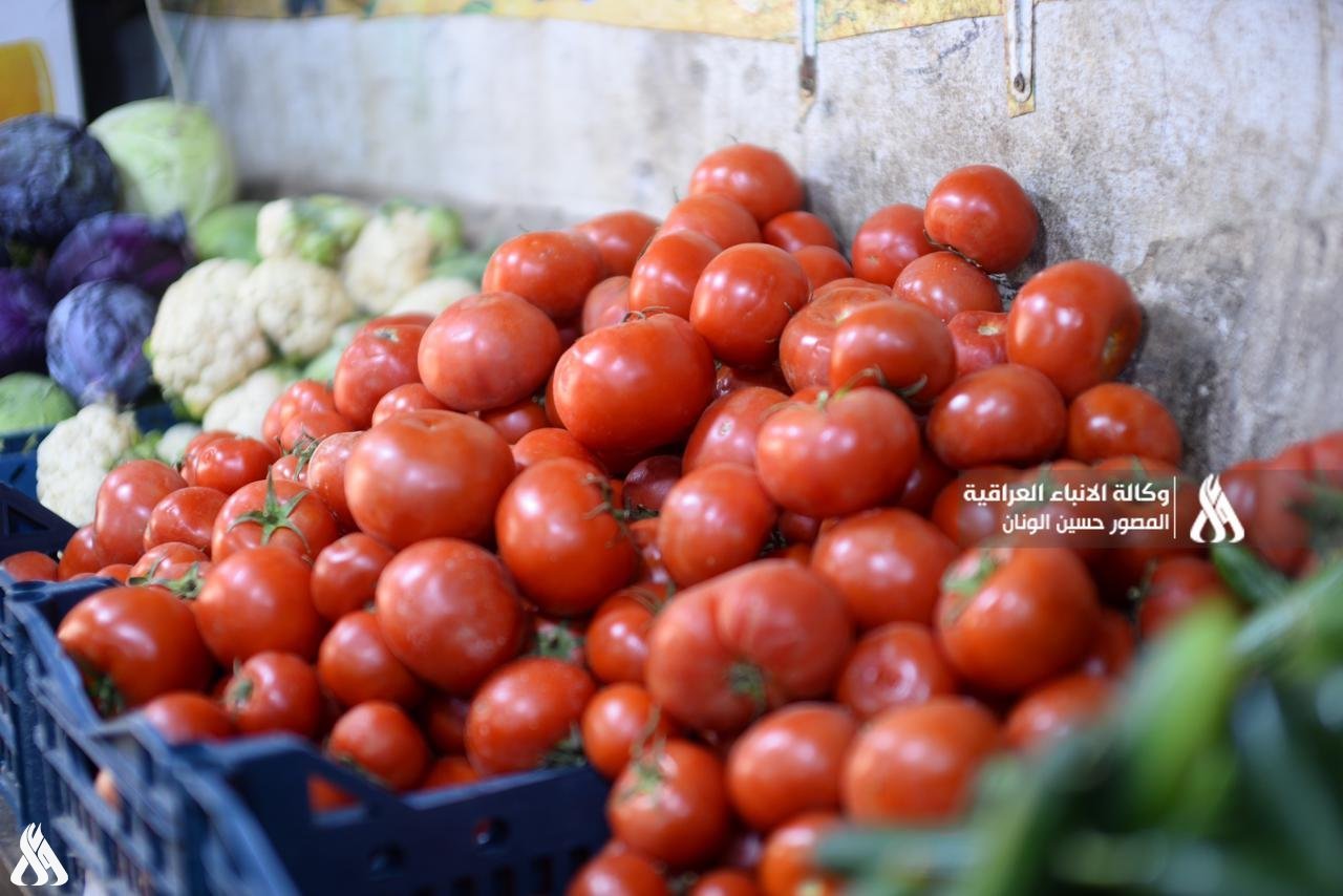 الزراعة تؤكد الوصول لمرحلة الإنتاج الكمي من البذور الخضراء وتوضح المكاسب