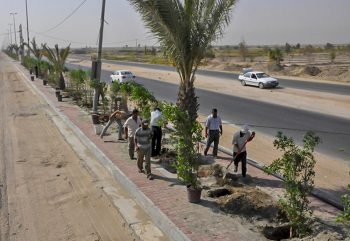 في العراق.. تشجير شارع يكلف خزينة الدولة “124 مليار دينار”