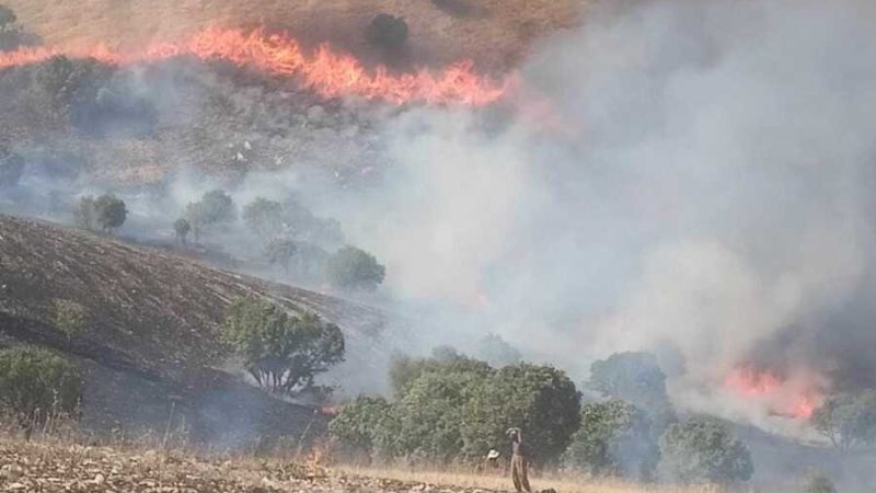 حرائق بكردستان تلتهم مخيما للنازحين و200 فدان من الأشجار الطبيعية