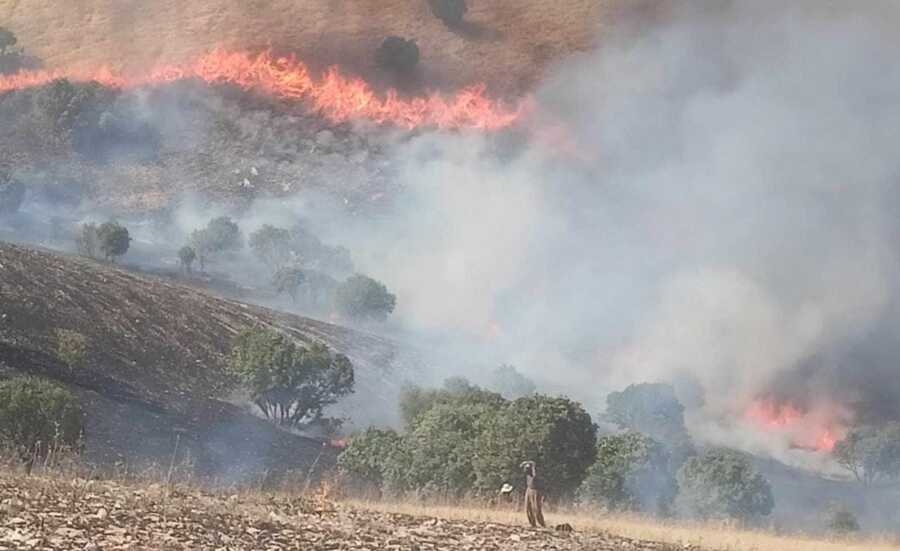 حرائق بكردستان تلتهم مخيما للنازحين و200 فدان من الأشجار الطبيعية