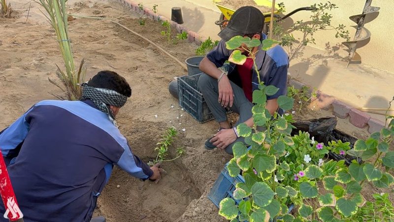 تنفيذاً لتوجيهات رئيس الوزراء.. الديوانية تعلن خطتها الخاصة بحملة التشجير