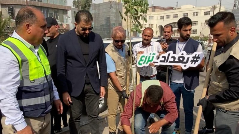 انطلاق حملة التشجير في بغداد والمحافظات