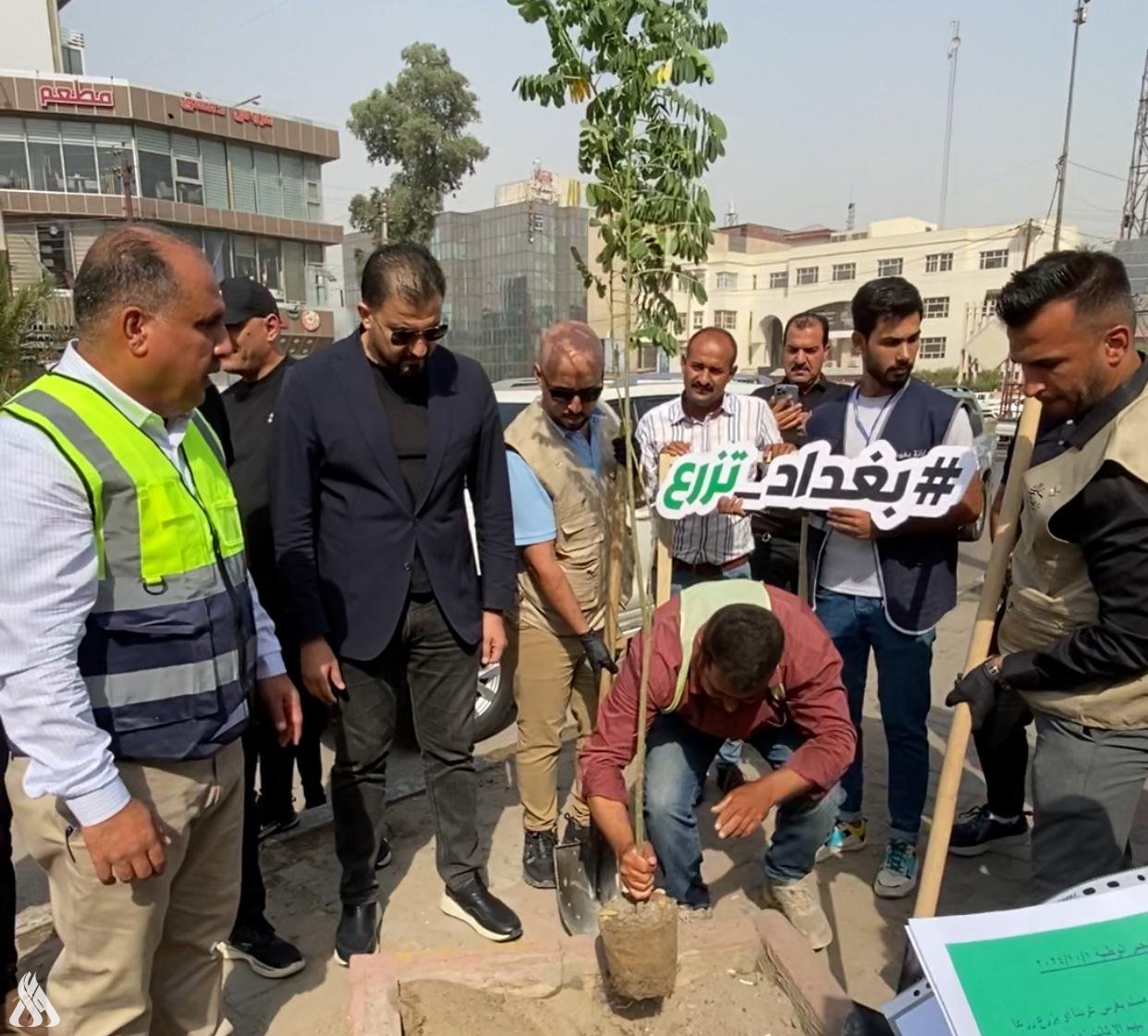 انطلاق حملة التشجير في بغداد والمحافظات