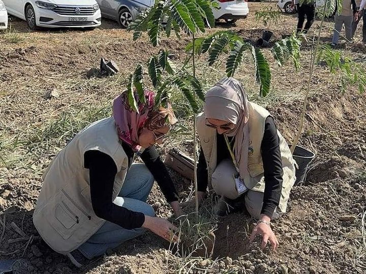 حملة التشجير.. نينوى تبدأ زراعة آلاف الأشجار لتعزيز الاستدامة البيئية