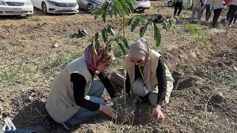 حملة التشجير.. نينوى تبدأ زراعة آلاف الأشجار لتعزيز الاستدامة البيئية