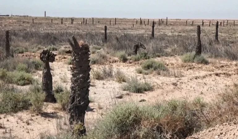 حقوق العراق المائية.. اتفاق مياه جديد مع تركيا.. خطوة لتخفيف وطأة الجفاف