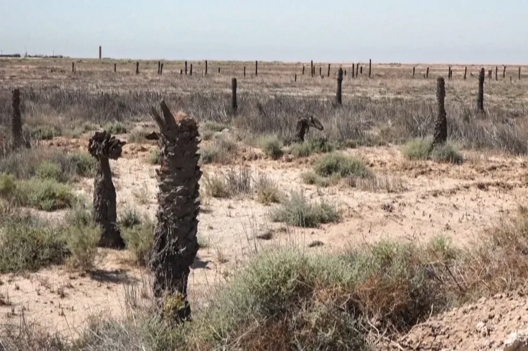 حقوق العراق المائية.. اتفاق مياه جديد مع تركيا.. خطوة لتخفيف وطأة الجفاف