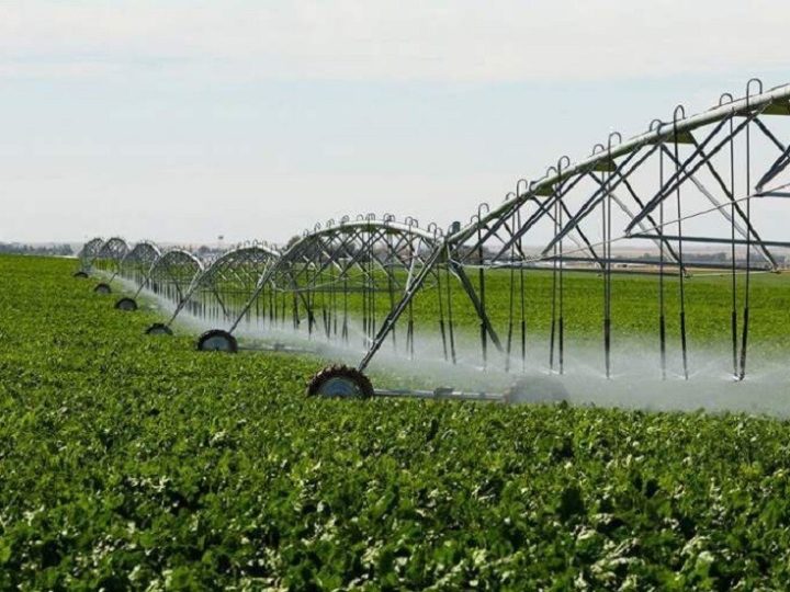 مشروع استثماري قطري جزائري مشترك لتعزيز قدرات إنتاج الحبوب والأعلاف بولاية المنيعة