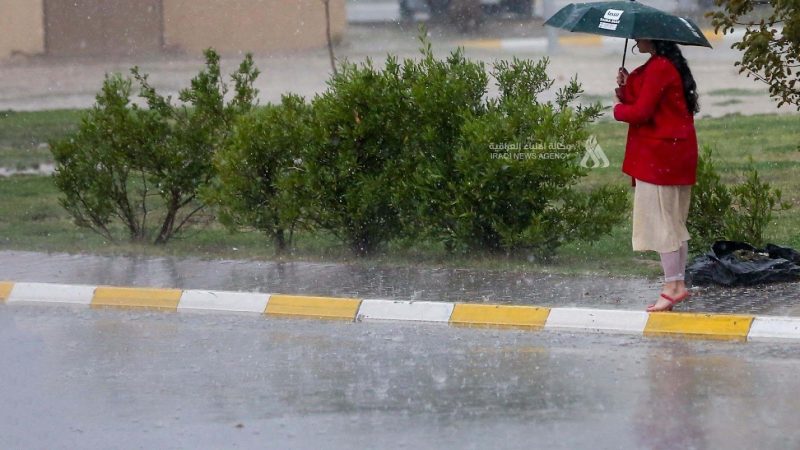 وزارة الموارد: الأمطار الأخيرة زادت الخزين المائي وأنعشت أهوار الجنوب