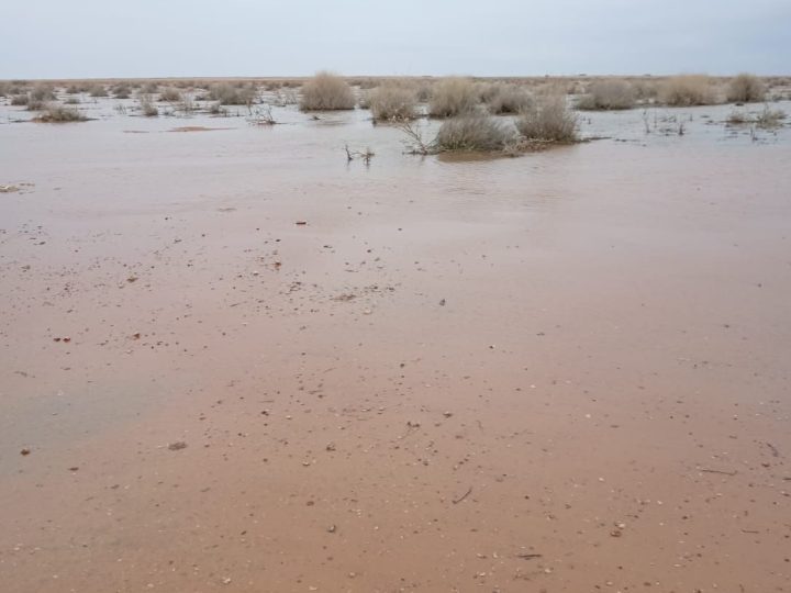 الأنبار: أكثر من 500 ألف متر مكعب خزين حوض الحماد من مياه الأمطار